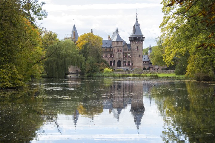 Contact en huisregels