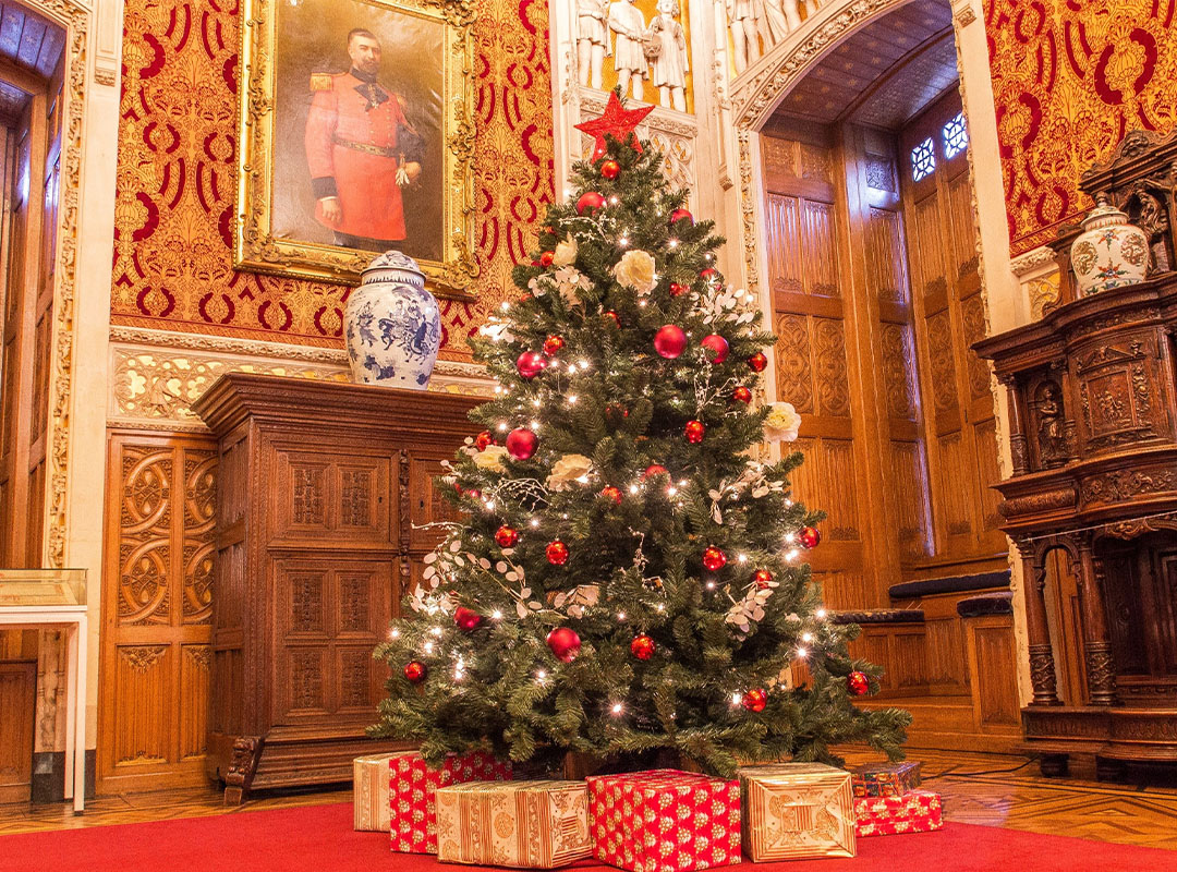 Kerst_boom_divi_page