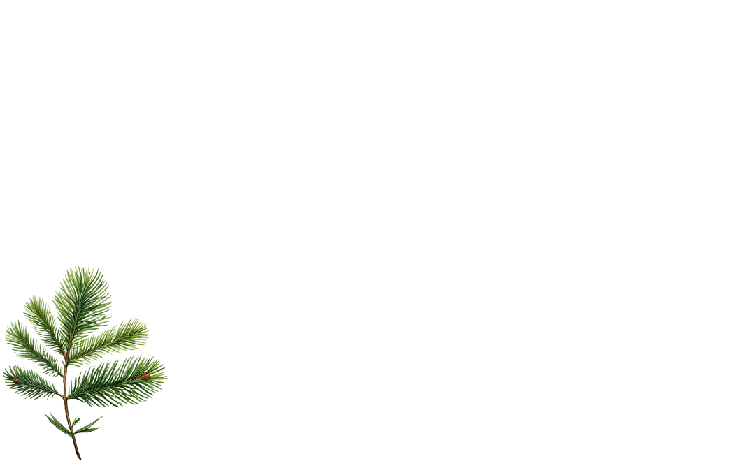 Tekengebied 3