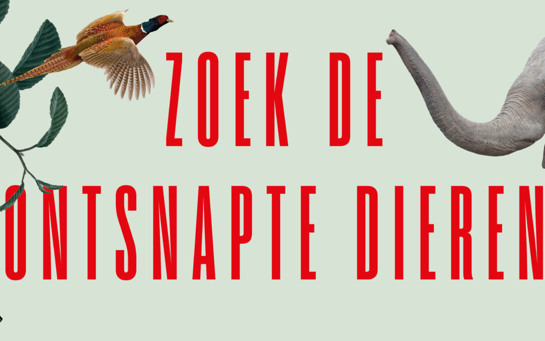 Tuinspeurtocht: Ontsnapte dieren