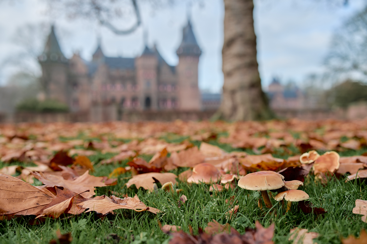 Kasteel_de_Haar_Herfstshoot_01