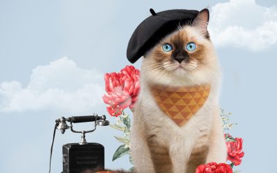 Noet Noet en het geheime kasteelfeest